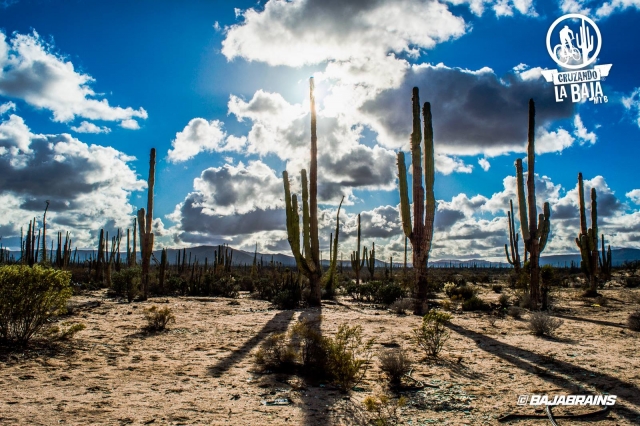 Desierto de Ensenada