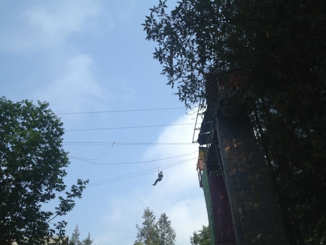 Cruza el paso del oso