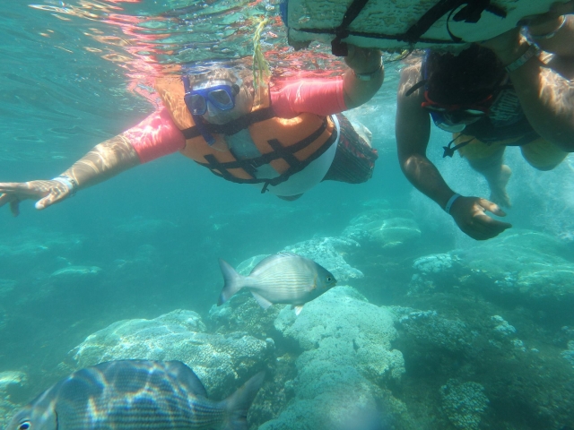 Explorando el mar