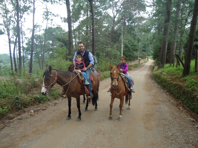 Ven con toda la familia