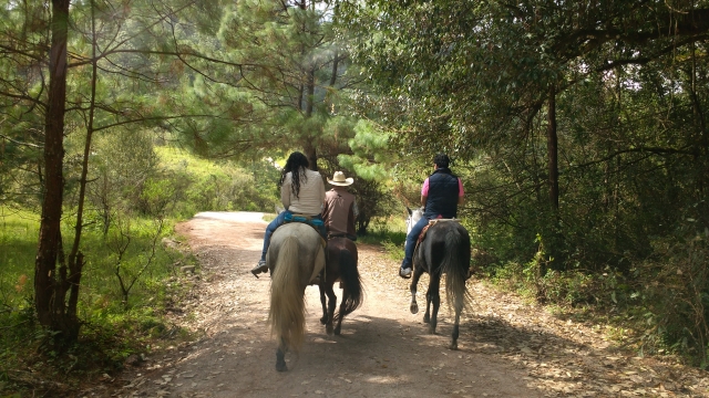 Ruta a caballo en equipo con el monitor