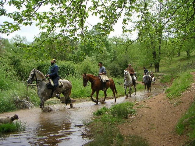 Recorrido con nuestros caballos