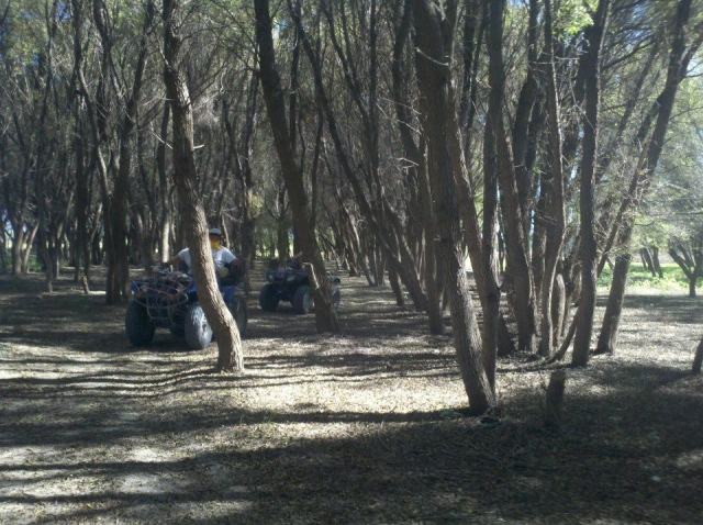Recorre San Miguel de Allende