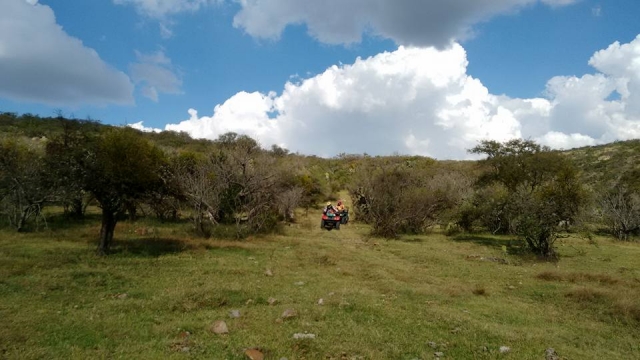 Ven a conocer Allende