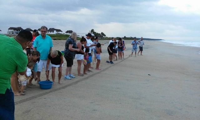 Conoce el ecosistema