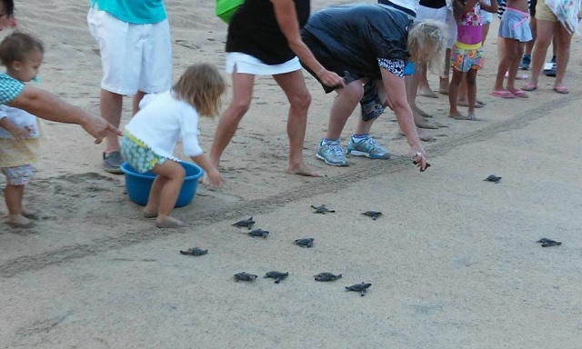 Libera a esta especie