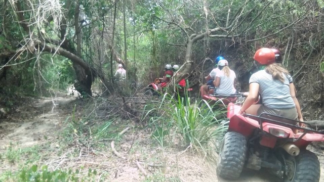 Quad en la selvas