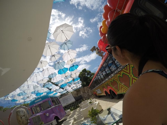 Mira el cielo