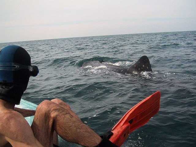 Saliendo del snorkel