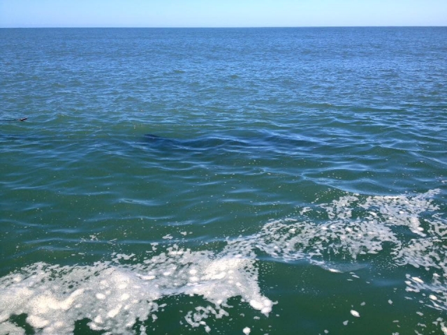 Antes de hacer snorkel