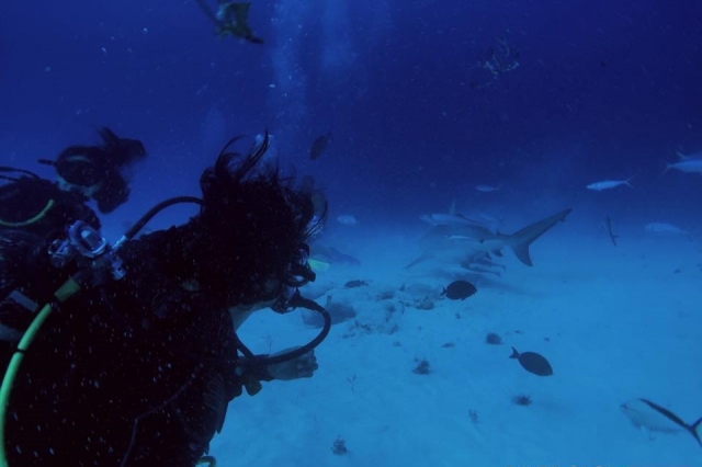 Acercate todo lo que puedas