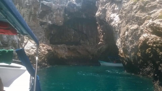 Lo mejor de la naturaleza