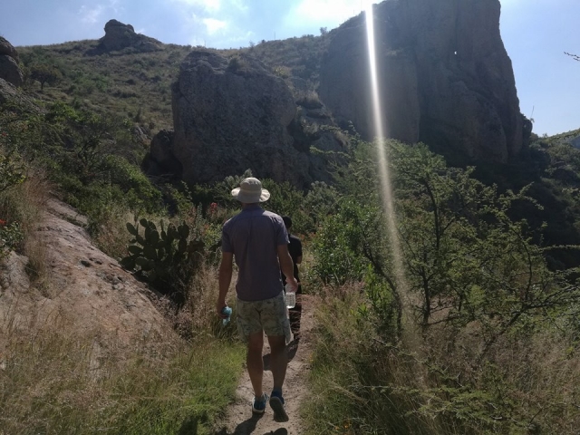 Camina por las zonas de guanajuato