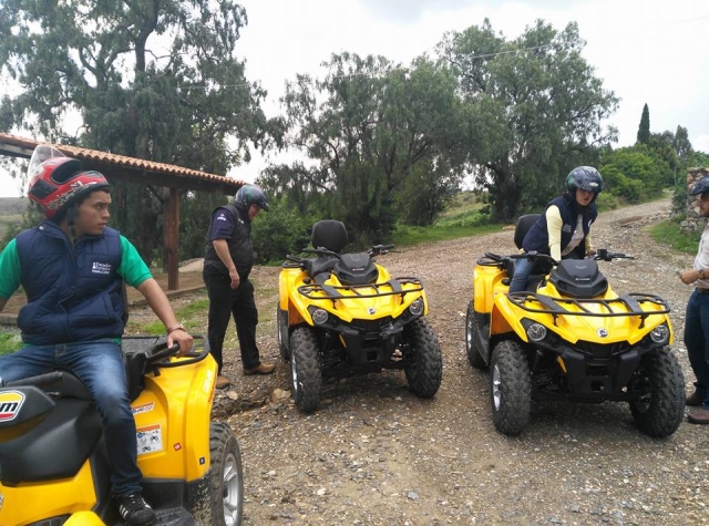 Camino por las quads