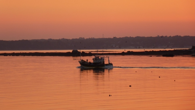 Pesca en el atardecer