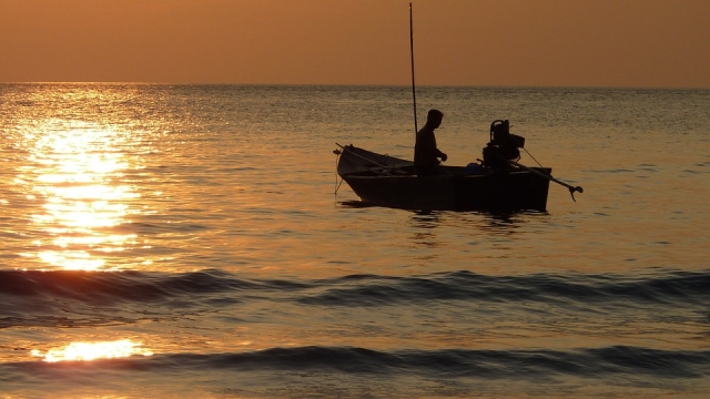Pesca en las tranquilidades del mar