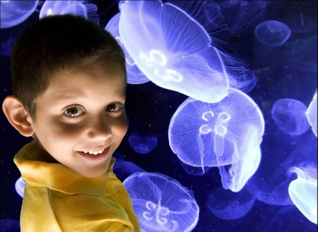 Acuario