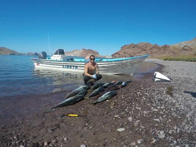 Consigue pescar todo lo que puedas