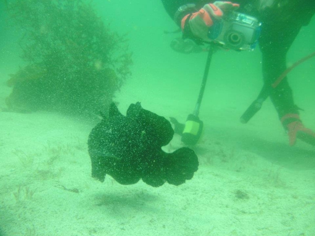 Fotografia todo desde abajo
