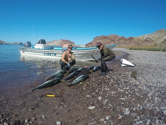 Pesca con el monitor