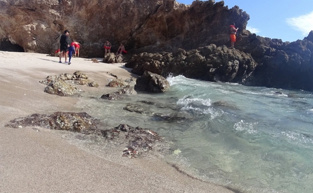 En la orilla explorando