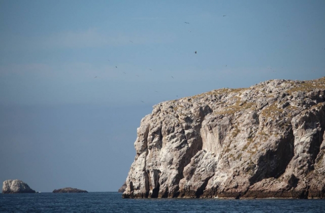 Mira las aves y tu vuelo