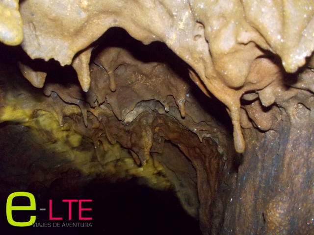 Conoce formaciones especiales