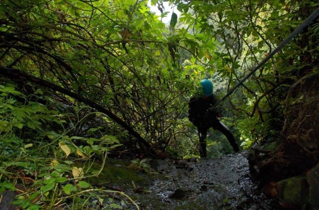 Con toda la seguridad