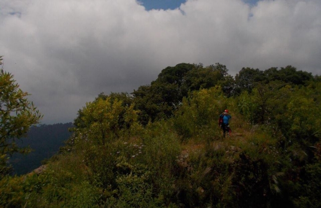 Metido en la naturaleza