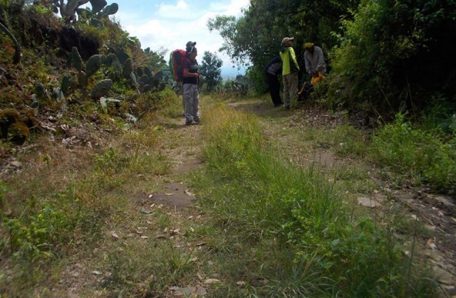 Caminando por la zona