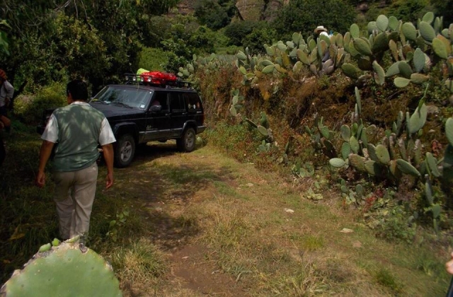 Durante el recorrido