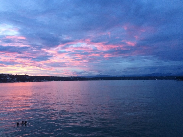 Contempla las vistas