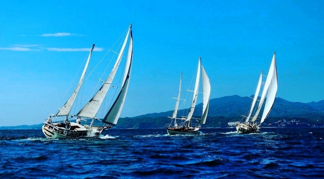 Veleros