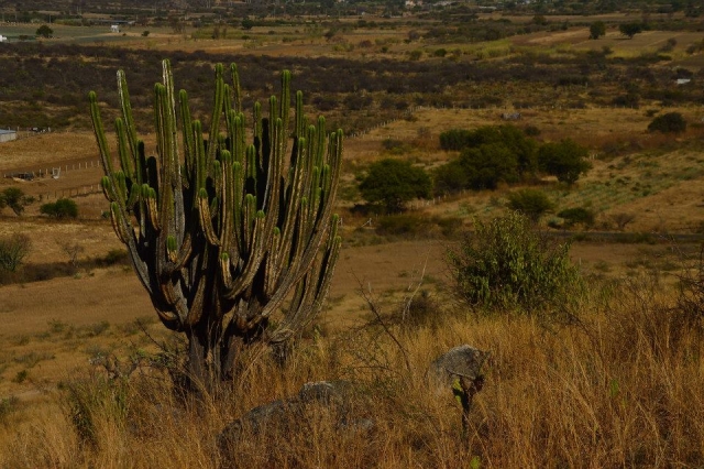 Admira los paisajes de oaxaca