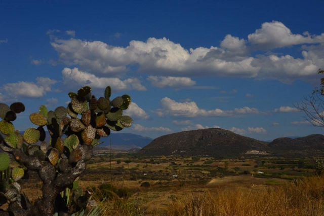 Camina por todo Oaxaca