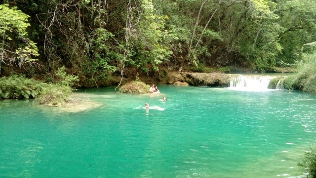 Actividades sorprendentes