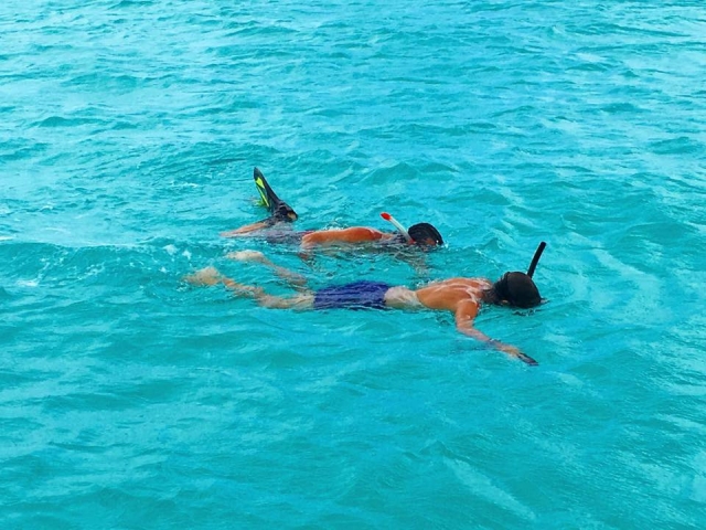 Conoce el fondo marino