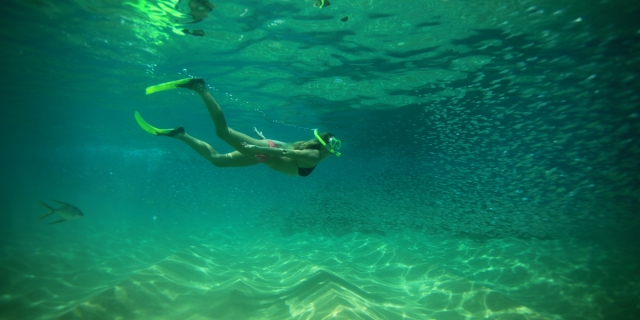 Observando la diversidad marina