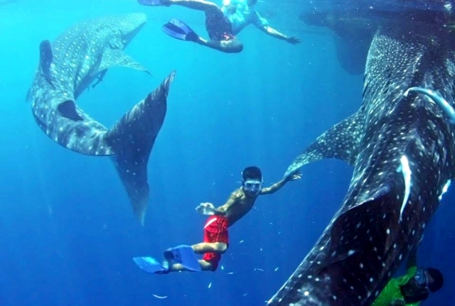 Aventuras submarinas extremas