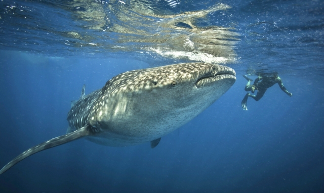 aventuras inolvidables 