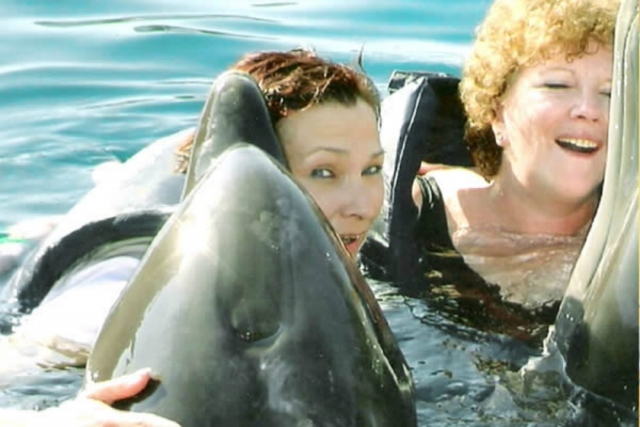 encuentro con delfines