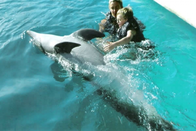 Interacción con delfines