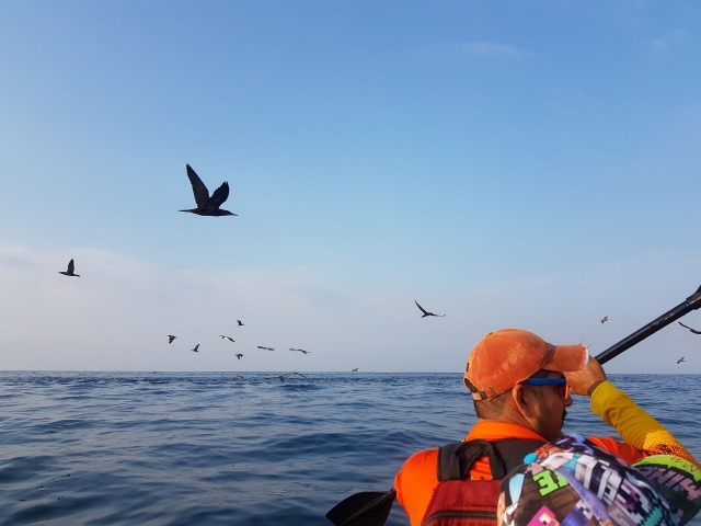 Visita guiada en Kayak Peña Blanca