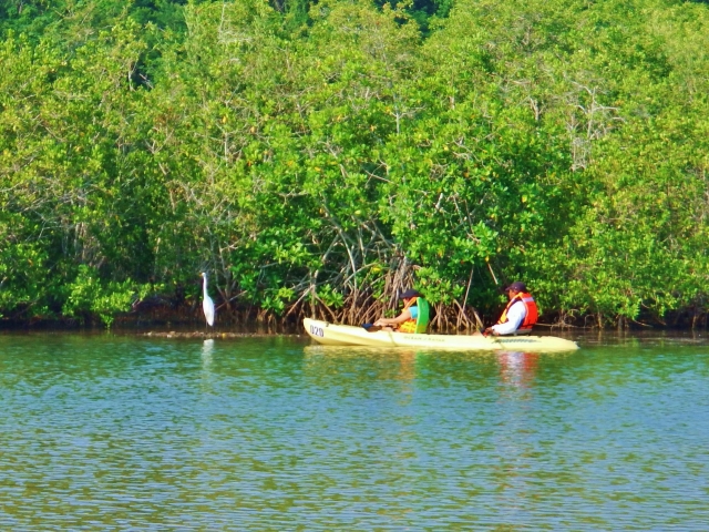 Visita guiada por el Estero