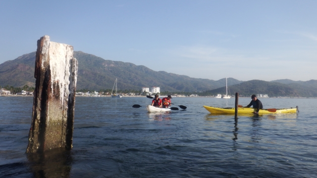 Kayak Visita guiada Marino
