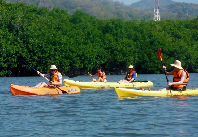 visita guiada kayak por el estero