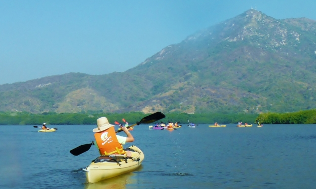 visita guiada kayak por el estero
