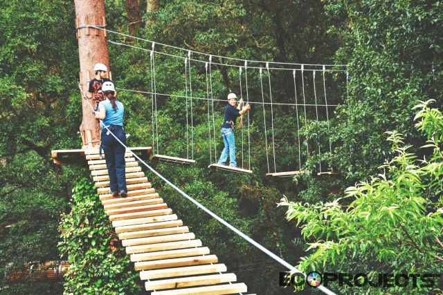 pasando por los puentes