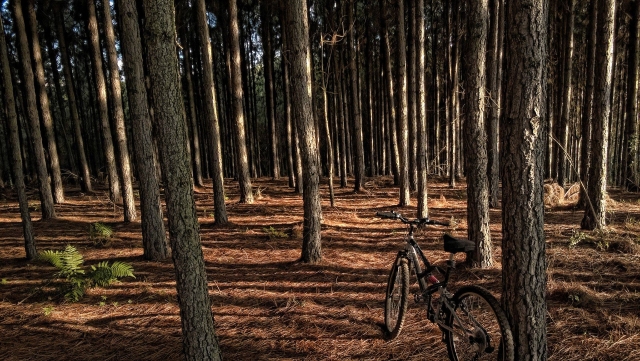 ciclismo en naturaleza