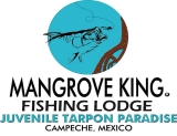 Mangrove King Visitas Guiadas